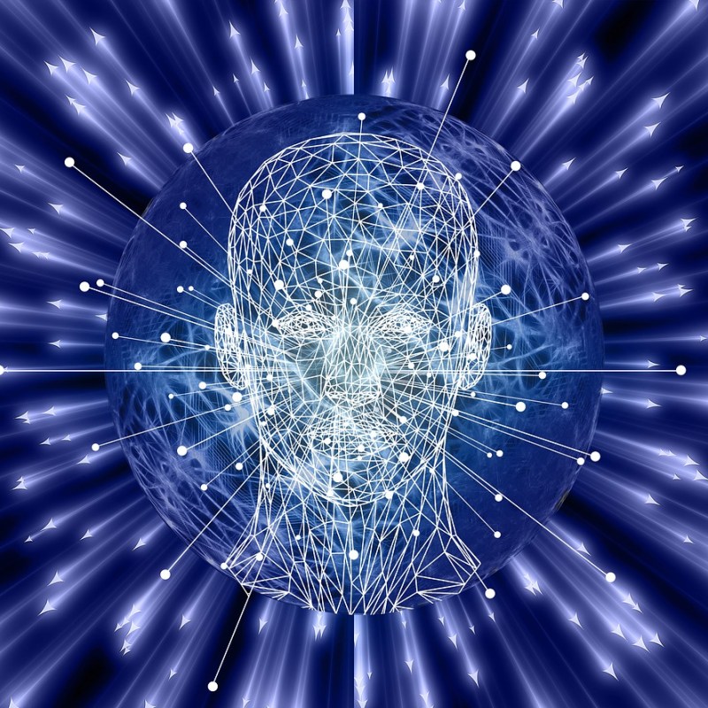 The Fracturing of the Academic Mind